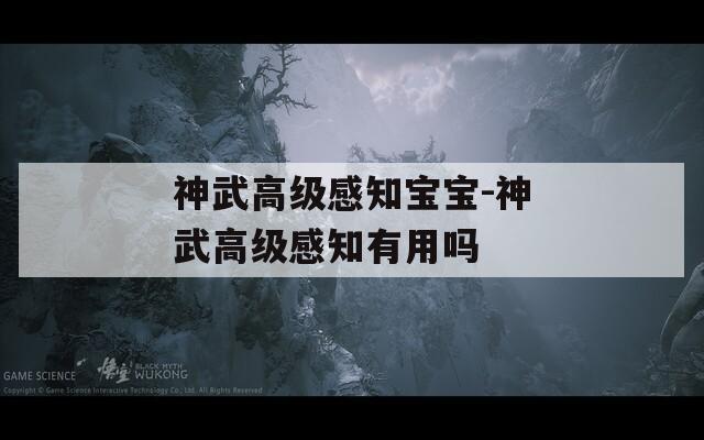 神武高级感知宝宝-神武高级感知有用吗