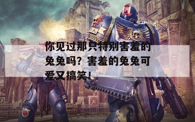 你见过那只特别害羞的兔兔吗？害羞的兔兔可爱又搞笑！
