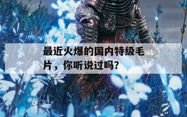 最近火爆的国内特级毛片，你听说过吗？