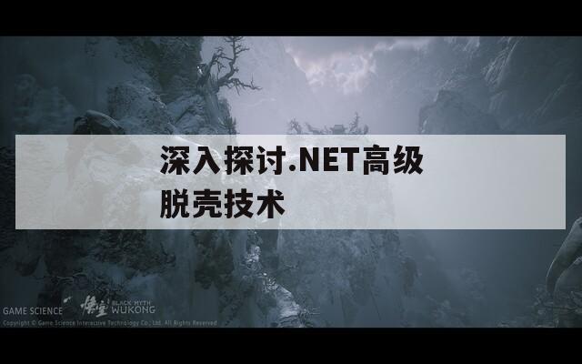 深入探讨.NET高级脱壳技术