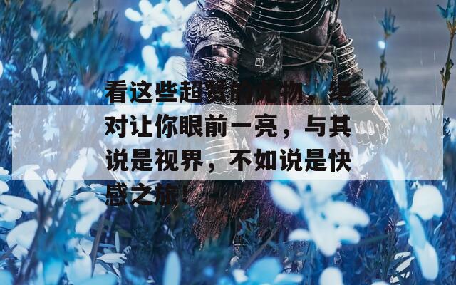 看这些超赞的尤物，绝对让你眼前一亮，与其说是视界，不如说是快感之旅！