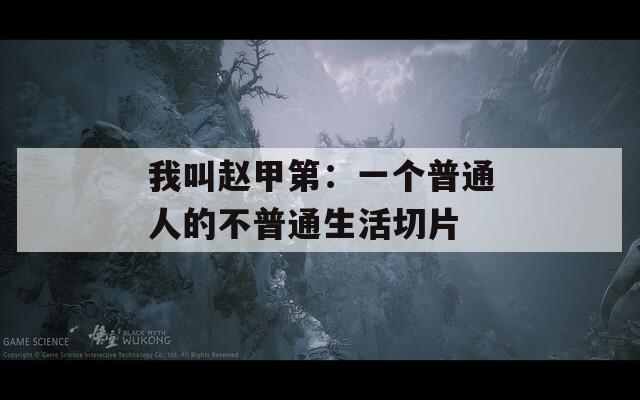 我叫赵甲第：一个普通人的不普通生活切片