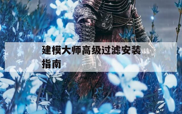建模大师高级过滤安装指南