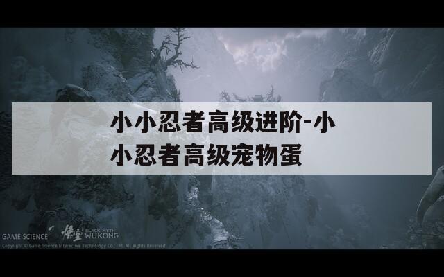 小小忍者高级进阶-小小忍者高级宠物蛋
