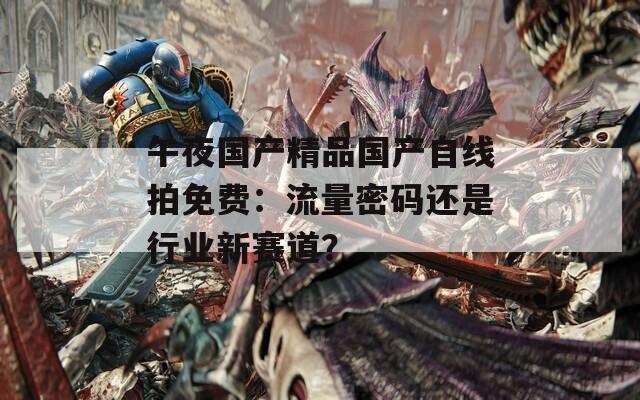 午夜国产精品国产自线拍免费：流量密码还是行业新赛道？