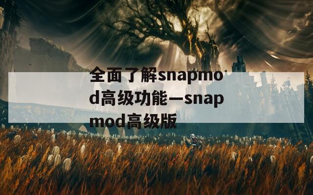 全面了解snapmod高级功能—snapmod高级版