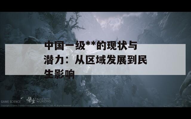 中国一级**的现状与潜力：从区域发展到民生影响