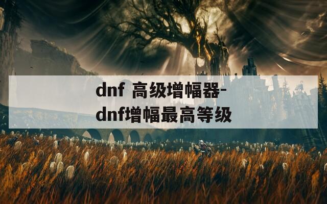 dnf 高级增幅器-dnf增幅最高等级