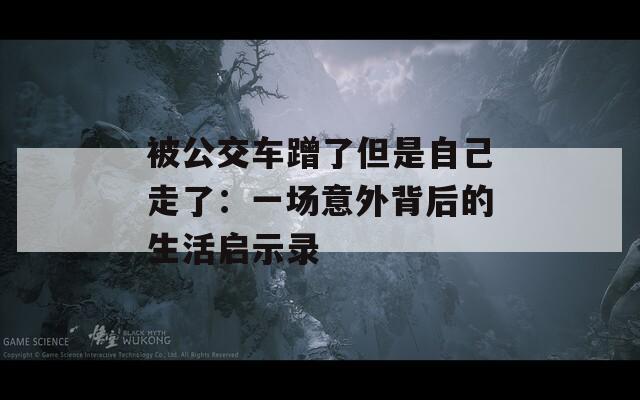 被公交车蹭了但是自己走了：一场意外背后的生活启示录