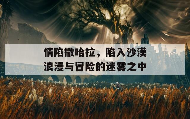 情陷撒哈拉，陷入沙漠浪漫与冒险的迷雾之中