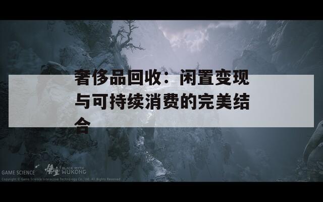 奢侈品回收：闲置变现与可持续消费的完美结合