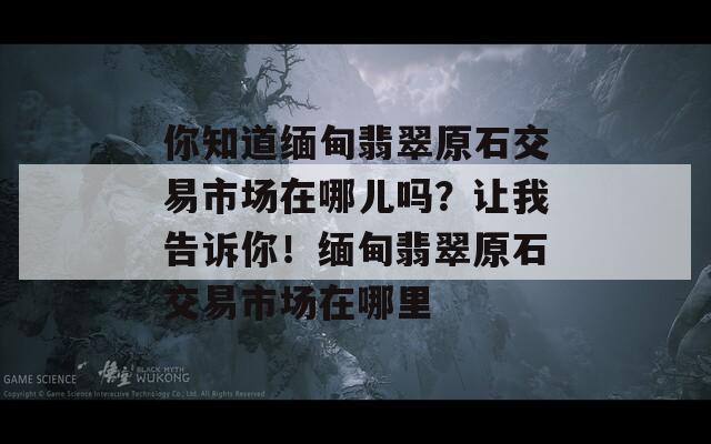你知道缅甸翡翠原石交易市场在哪儿吗？让我告诉你！缅甸翡翠原石交易市场在哪里
