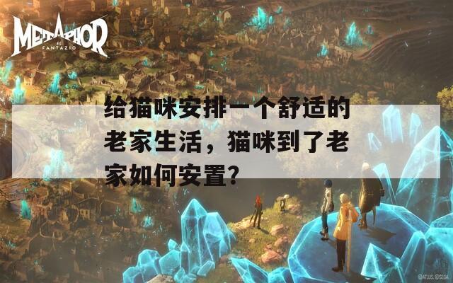 给猫咪安排一个舒适的老家生活，猫咪到了老家如何安置？