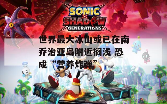 世界最大冰山或已在南乔治亚岛附近搁浅 恐成“营养炸弹”