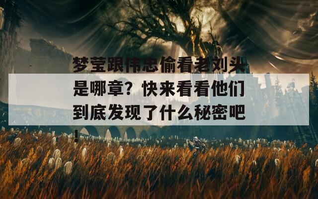 梦莹跟伟忠偷看老刘头是哪章？快来看看他们到底发现了什么秘密吧！