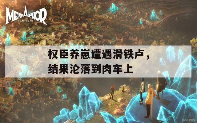 权臣养崽遭遇滑铁卢，结果沦落到肉车上