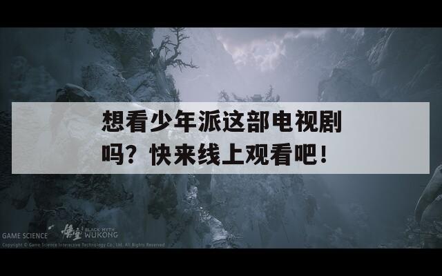 想看少年派这部电视剧吗？快来线上观看吧！