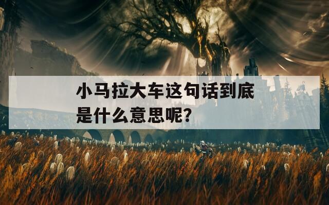 小马拉大车这句话到底是什么意思呢？