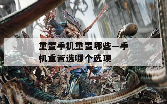 重置手机重置哪些—手机重置选哪个选项