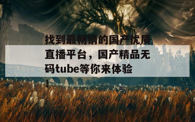 找到最畅销的国产优质直播平台，国产精品无码tube等你来体验！