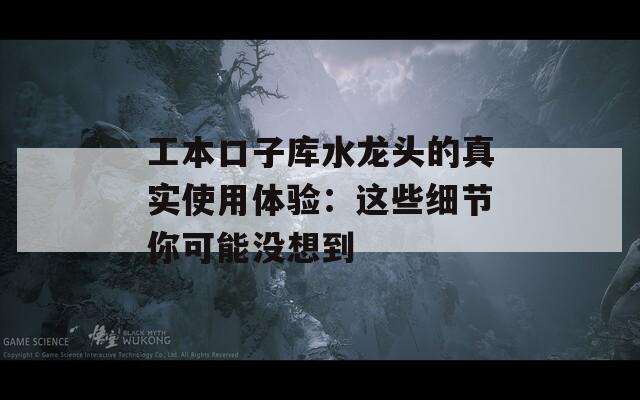 工本口子库水龙头的真实使用体验：这些细节你可能没想到