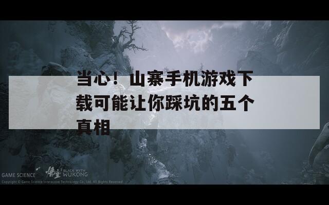 当心！山寨手机游戏下载可能让你踩坑的五个真相
