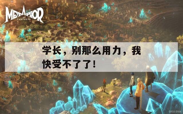 学长，别那么用力，我快受不了了！