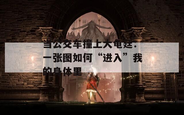 当公交车撞上大龟廷：一张图如何“进入”我的身体里