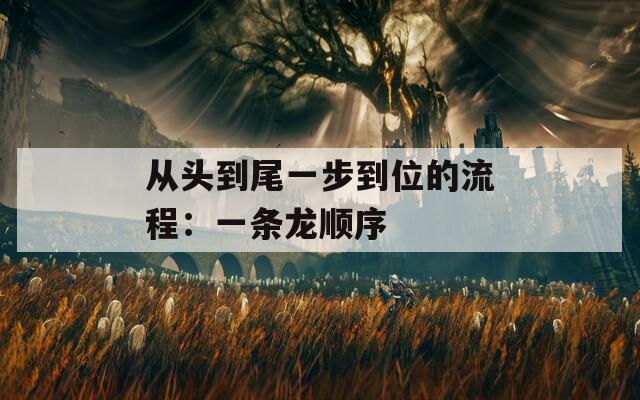 从头到尾一步到位的流程：一条龙顺序