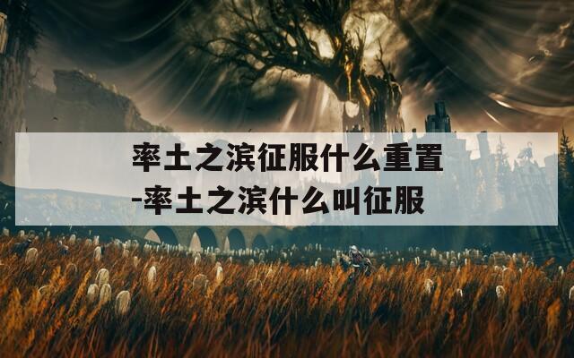 率土之滨征服什么重置-率土之滨什么叫征服