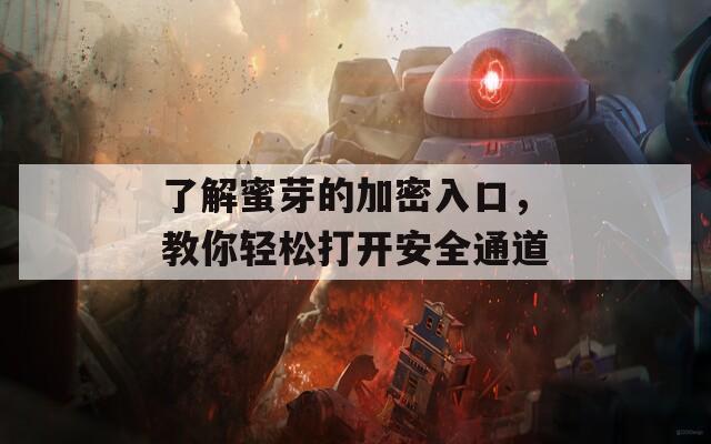 了解蜜芽的加密入口，教你轻松打开安全通道