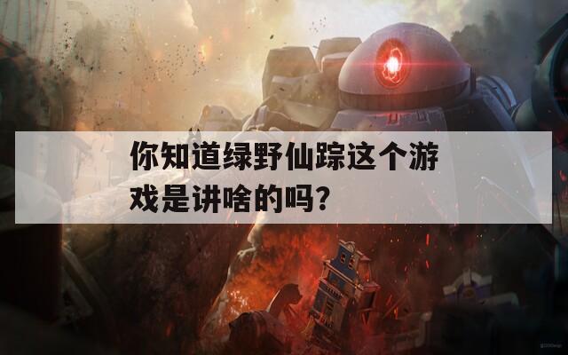 你知道绿野仙踪这个游戏是讲啥的吗？