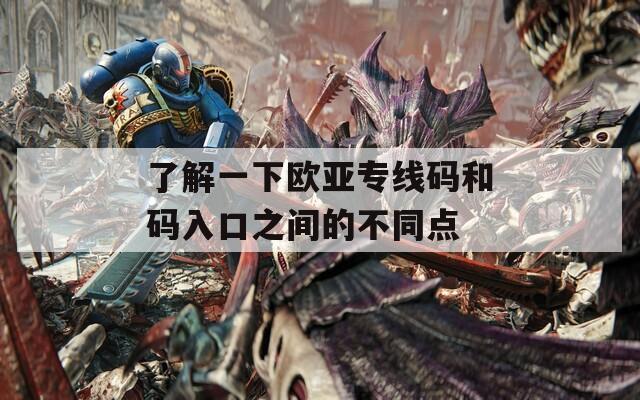 了解一下欧亚专线码和码入口之间的不同点