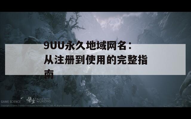 9UU永久地域网名：从注册到使用的完整指南