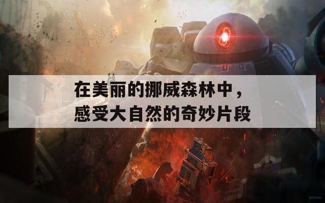 在美丽的挪威森林中，感受大自然的奇妙片段