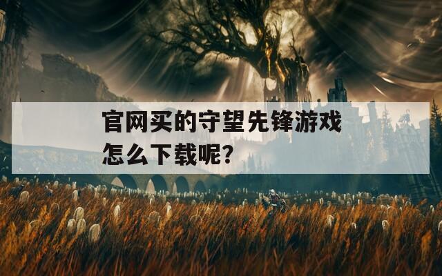 官网买的守望先锋游戏怎么下载呢？