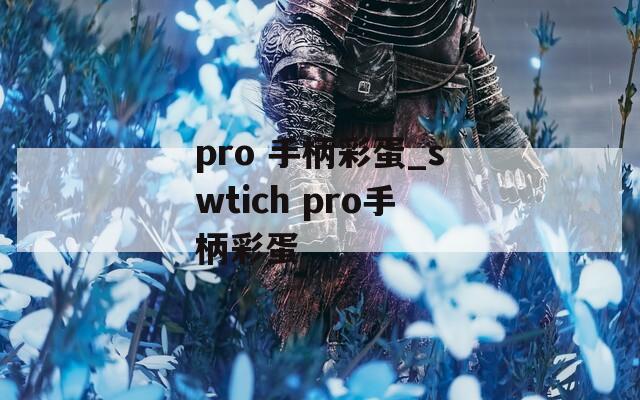 pro 手柄彩蛋_swtich pro手柄彩蛋