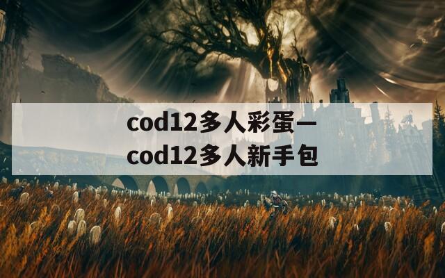 cod12多人彩蛋—cod12多人新手包