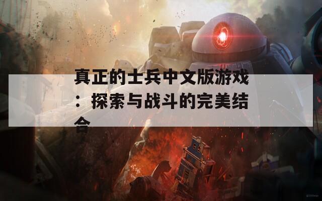 真正的士兵中文版游戏：探索与战斗的完美结合