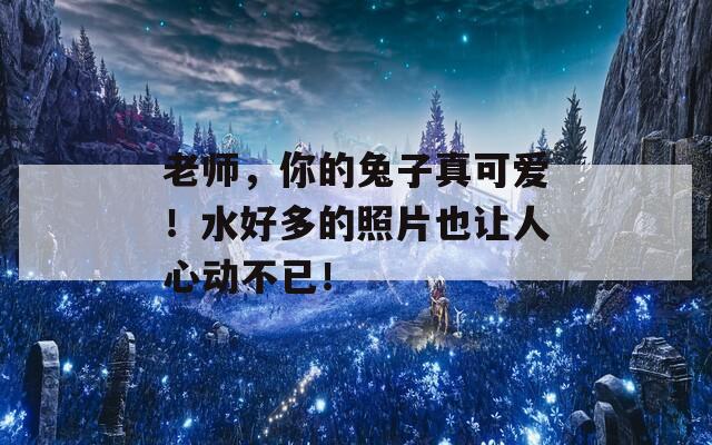 老师，你的兔子真可爱！水好多的照片也让人心动不已！