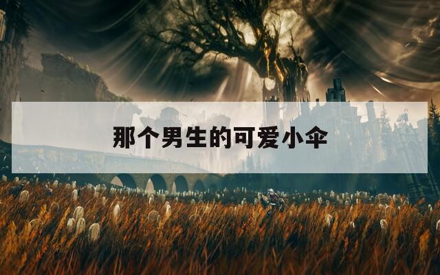 那个男生的可爱小伞