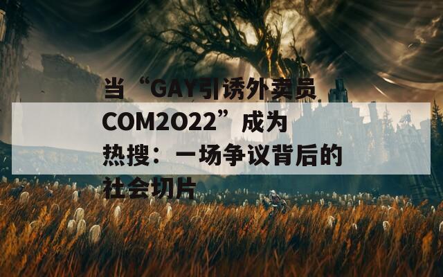 当“GAY引诱外卖员COM2O22”成为热搜：一场争议背后的社会切片