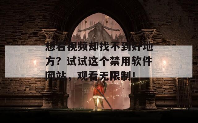 想看视频却找不到好地方？试试这个禁用软件网站，观看无限制！