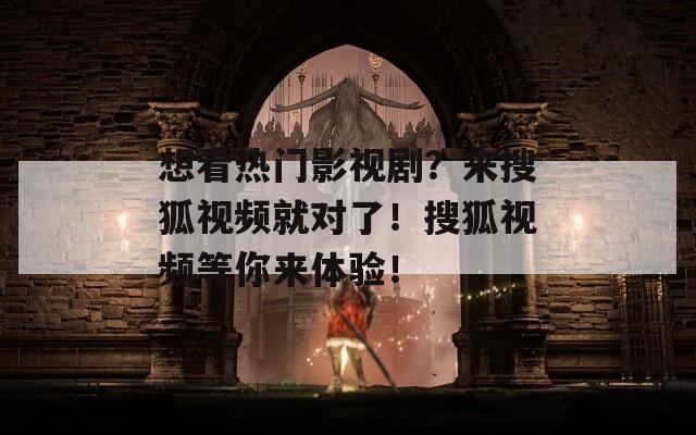 想看热门影视剧？来搜狐视频就对了！搜狐视频等你来体验！