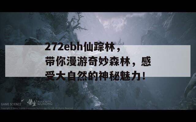 272ebh仙踪林，带你漫游奇妙森林，感受大自然的神秘魅力！
