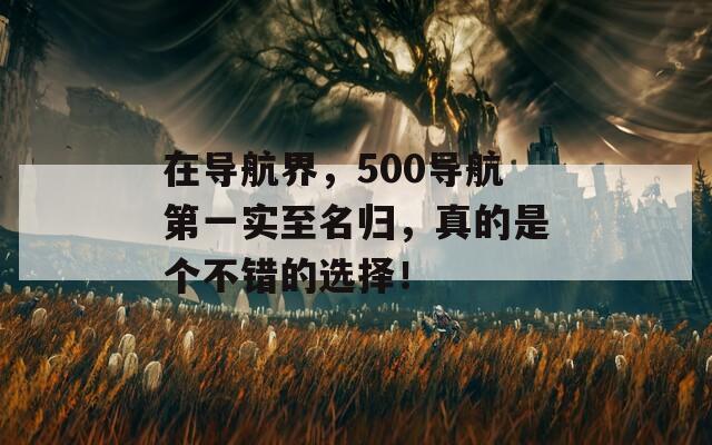 在导航界，500导航第一实至名归，真的是个不错的选择！