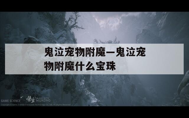鬼泣宠物附魔—鬼泣宠物附魔什么宝珠