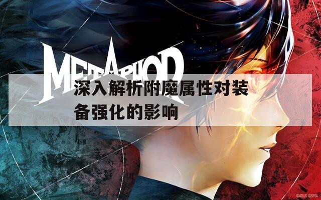 深入解析附魔属性对装备强化的影响