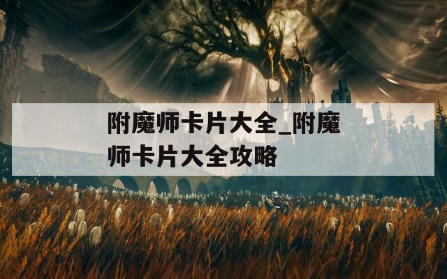 附魔师卡片大全_附魔师卡片大全攻略