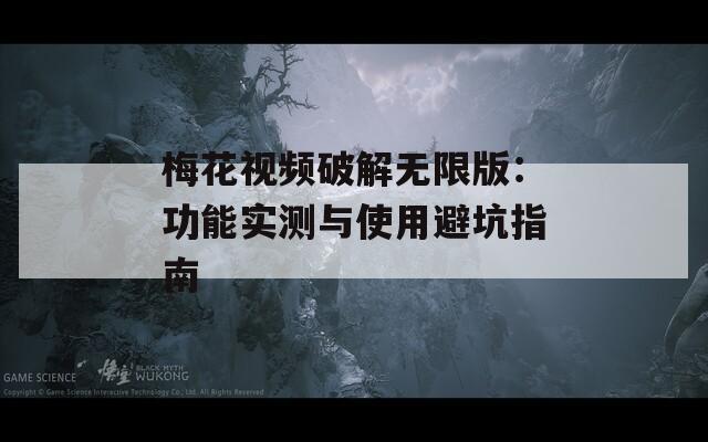 梅花视频破解无限版：功能实测与使用避坑指南